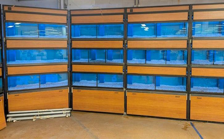 Nu nog 2 Aquariumstellingen, prijs per stelling, Dieren en Toebehoren, Vissen | Aquaria en Toebehoren, Ophalen, Gebruikt, Leeg aquarium