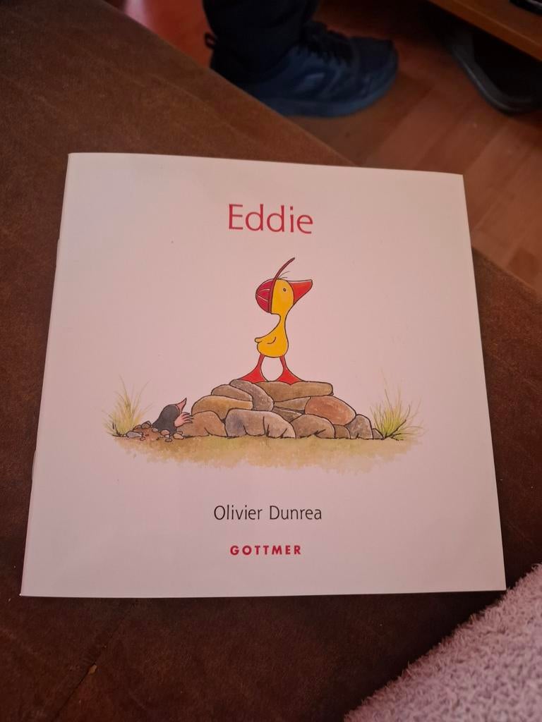 Eddie - Een lief verhaal over een vergeetachtig gansje, Boeken, Fictie algemeen, Jongen of Meisje, Nieuw, Voorleesboek