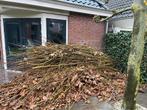 GRATIS - Grote stapel vlechtbare taken, Tuin en Terras, Overige Tuin en Terras, Ophalen, Gebruikt