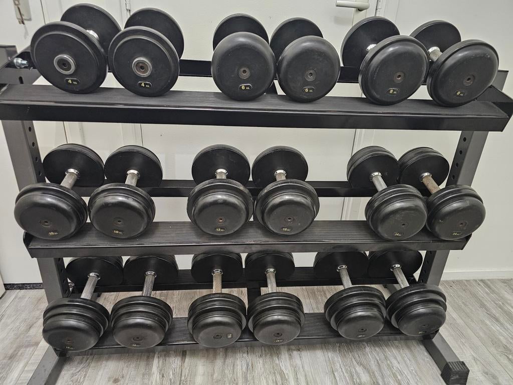 Dumbells Halters Gewichten totaal 204kg + Dumbell rack, Ophalen, Zo goed als nieuw, Dumbbell