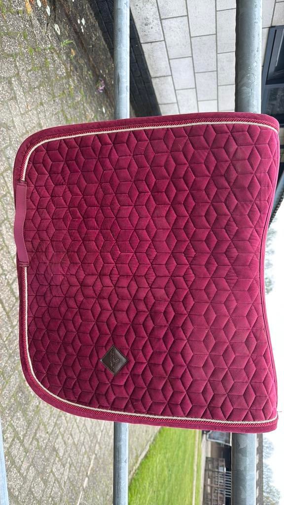 Kentucky bordeaux, Dieren en Toebehoren, Ophalen of Verzenden, Zo goed als nieuw