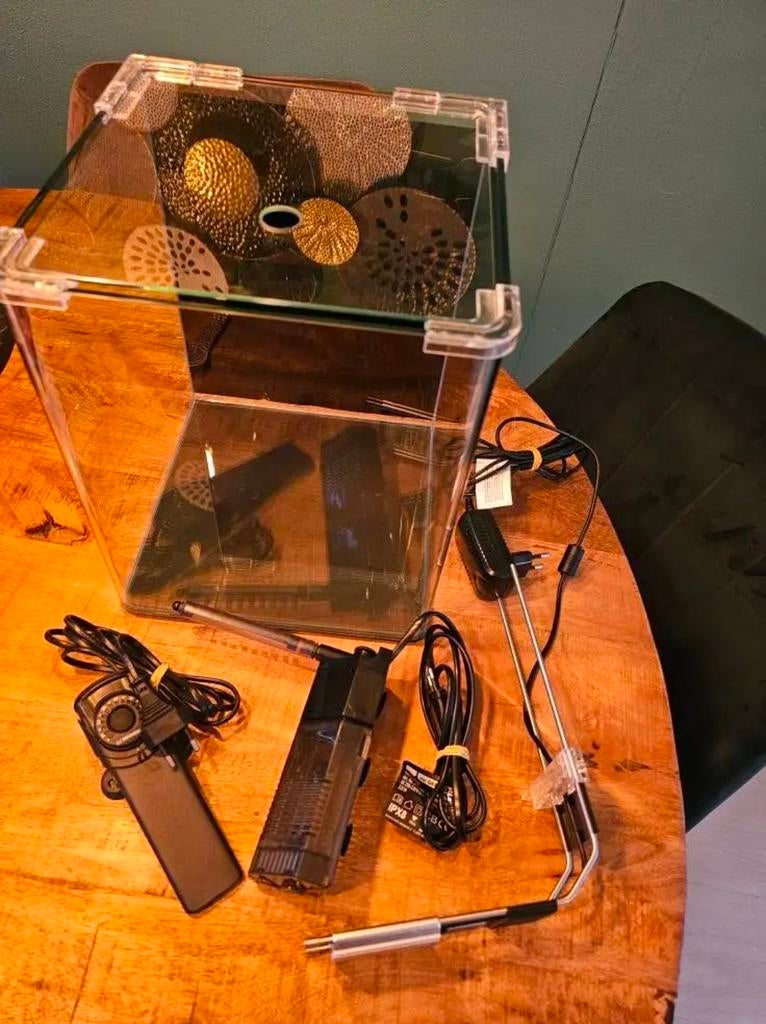 Aquarium Nano Cube Dennerle compleet, Vis