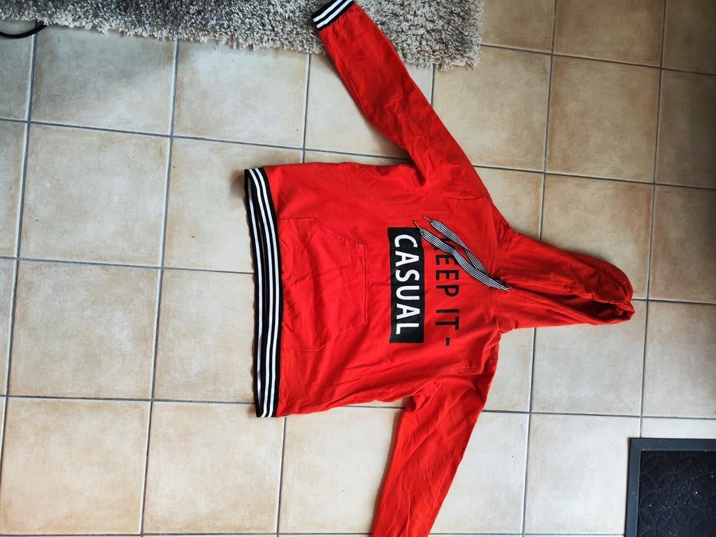 Ze-Ze Nordic xxl sweater, Ophalen of Verzenden, Zo goed als nieuw, Maat 46/48 (XL) of groter