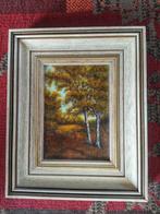 Prachtig schilderij, Antiek en Kunst, Ophalen