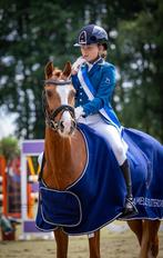 Succesvolle sportpony-grote C maat, Dieren en Toebehoren, Pony's, Ruin, Dressuurpony, C pony (1.27m tot 1.37m), 11 jaar of ouder