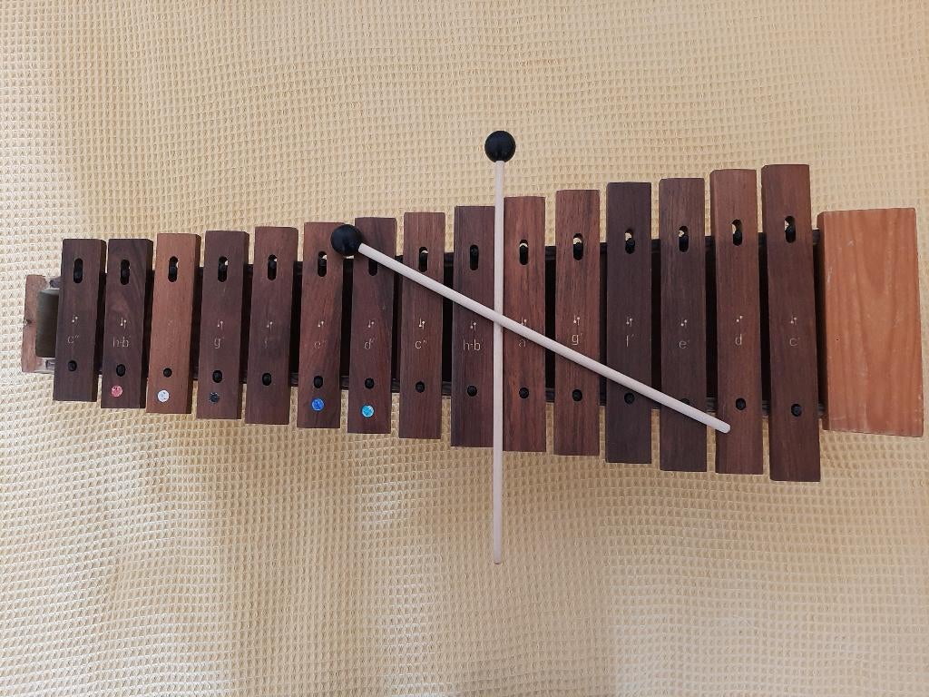 Xylofoon van hout met stokken, Muziek en Instrumenten, Percussie, Ophalen of Verzenden, Gebruikt, Melodische percussie