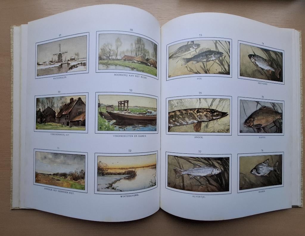 Boek Het Naardermeer – Jac.P.Thijsse, Boeken, Natuur, Verzenden, Zo goed als nieuw, Natuur algemeen, Jac.P.Thijsse