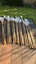 Pluimen, Ophalen, Zo goed als nieuw, 250 cm of meer, Palen