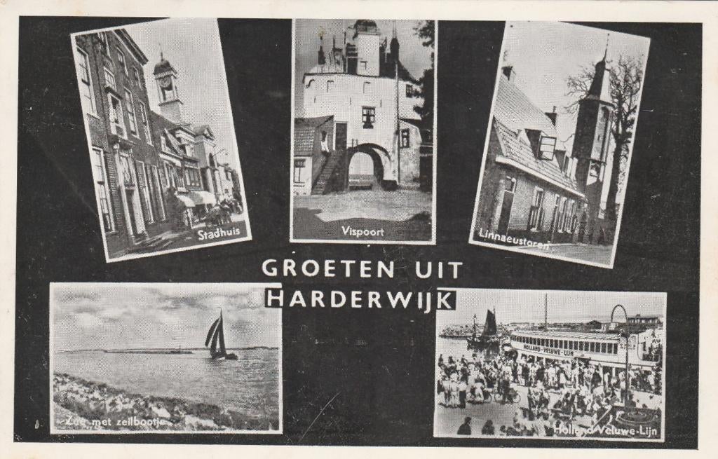 HARDERWIJK Stadhuis Zeilboot Poort Toren Groeten 1956, Verzenden, 1940 tot 1960, Gelopen, Gelderland