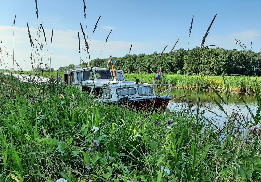 Motorboot Van Leeuwenschouw, Watersport en Boten, Ophalen, Gebruikt, Staal, Binnenboordmotor
