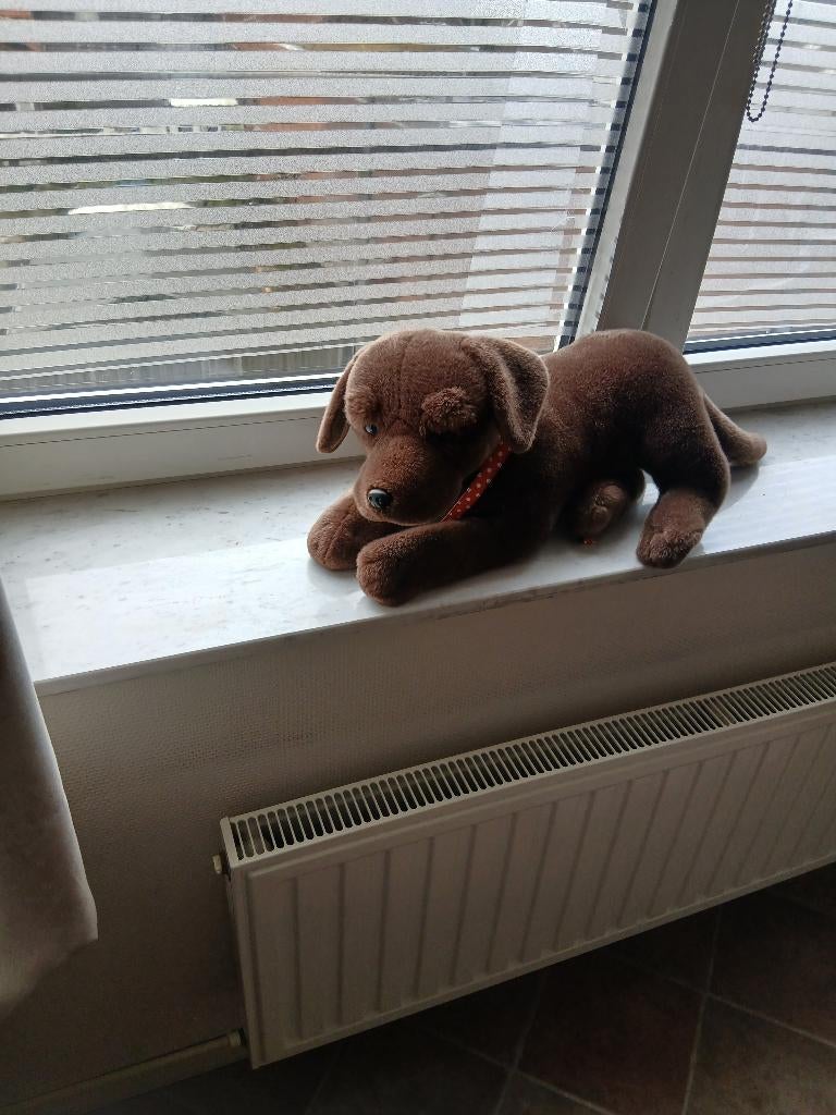 Levensechte pluche labrador, Ophalen, Nieuw, Overige typen, Middelgroot (20 tot 80 cm)