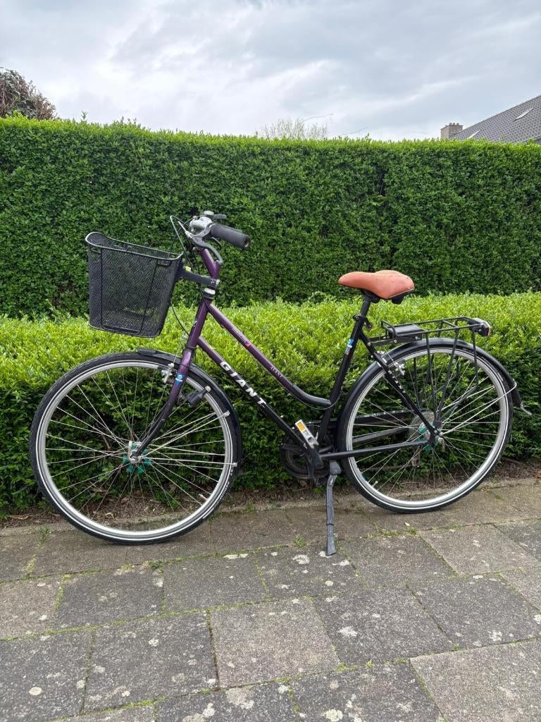 Cheap student bike – ready to ride – Maastricht, Fietsen en Brommers, Fietsen | Dames | Damesfietsen, Gebruikt, Velgrem, Versnellingen