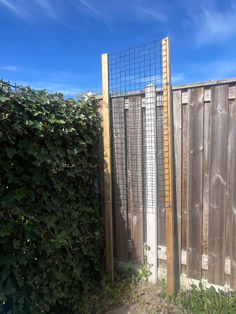Planten klimrek, Tuin en Terras, Ophalen, Overige soorten, Volle zon