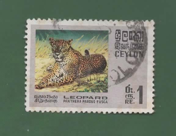 Katachtigen - Ceylon - 398 - Luipaard - gebr, Verzenden, Gestempeld, Dier of Natuur