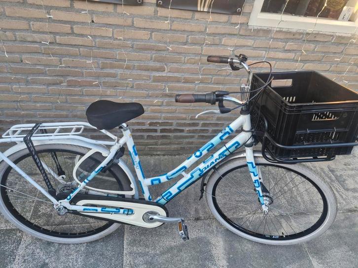 Giant izgst, Fietsen en Brommers, Fietsen | Dames | Damesfietsen, Gebruikt, Giant, 53 tot 56 cm, Ophalen of Verzenden