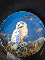 Wedgwood  Twilight Splendour, Ophalen