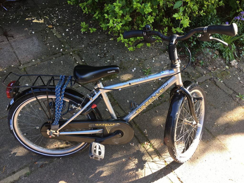 Gazelle County 20 inch, Ophalen, Gebruikt, 20 inch, Handrem