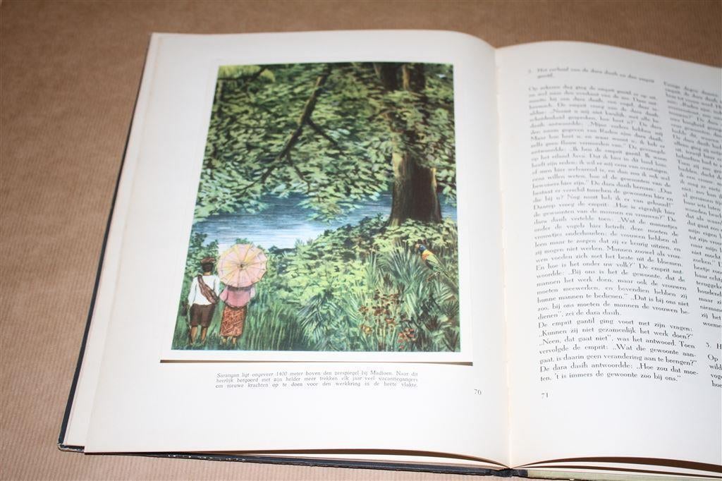 Java. Onze Zendingsvelden. Compleet plaatjesalbum., Boeken, Ophalen of Verzenden, Gelezen