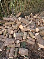 Haardhout conifeer, Minder dan 3 m³, Ophalen, Blokken