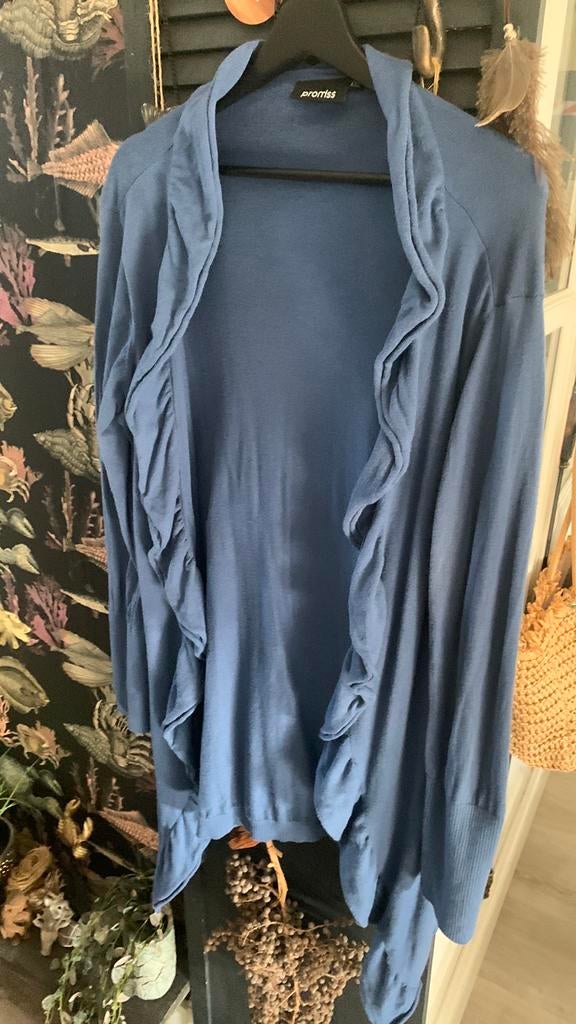 Dames vest maat xxl, Kleding | Dames, Ophalen of Verzenden, Gedragen, Maat 46/48 (XL) of groter