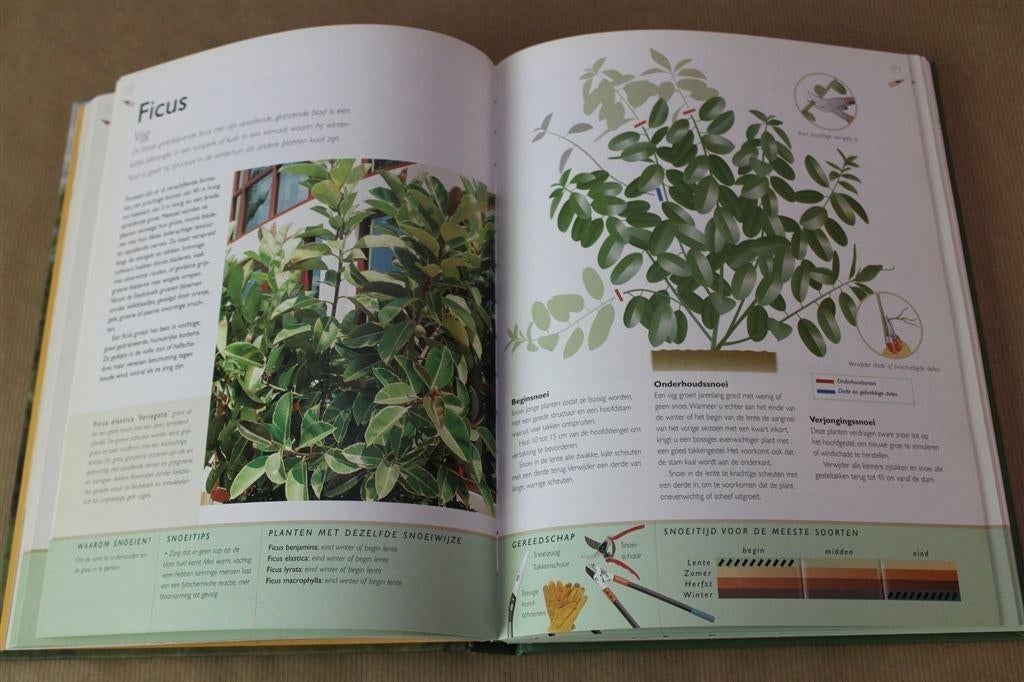 Jubileumboek. 200 jaar openbaar onderwijs in Kantens., Ophalen of Verzenden, Zo goed als nieuw