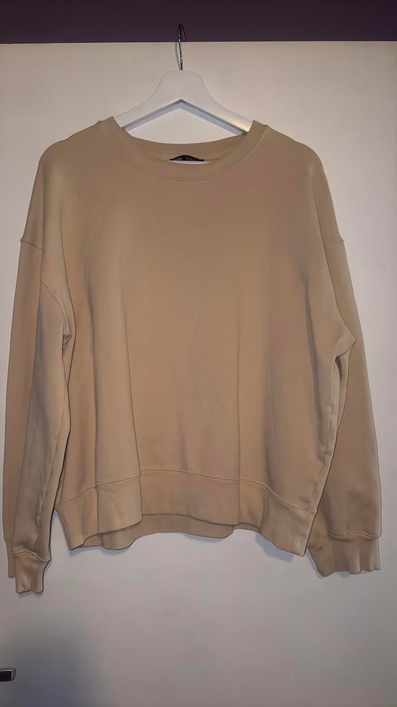 hoodie zara maat l, Kleding | Dames, Ophalen of Verzenden, Zo goed als nieuw, Maat 38/40 (M)