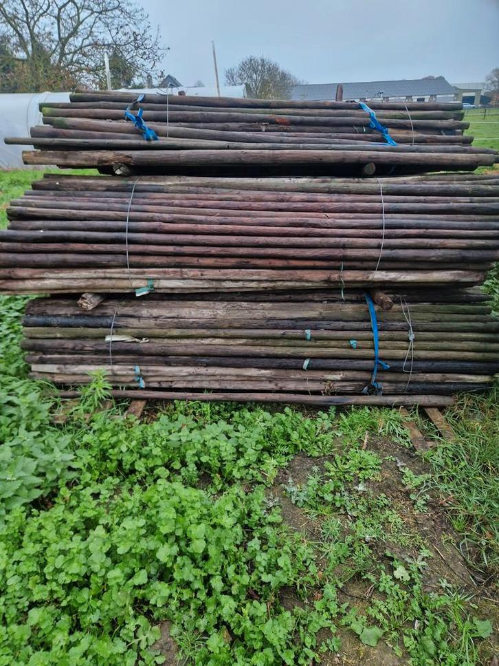 Fruitboompalen 2,5 meter lang, inclusief boomband, Tuin en Terras, Palen, Balken en Planken, Gebruikt, Palen, 250 cm of meer, Ophalen