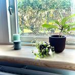 Massief eiken vensterbank | vensterbank | eiken, Doe-het-zelf en Verbouw, Plinten en Afwerking, Ophalen, 100 tot 150 cm, Vensterbanken