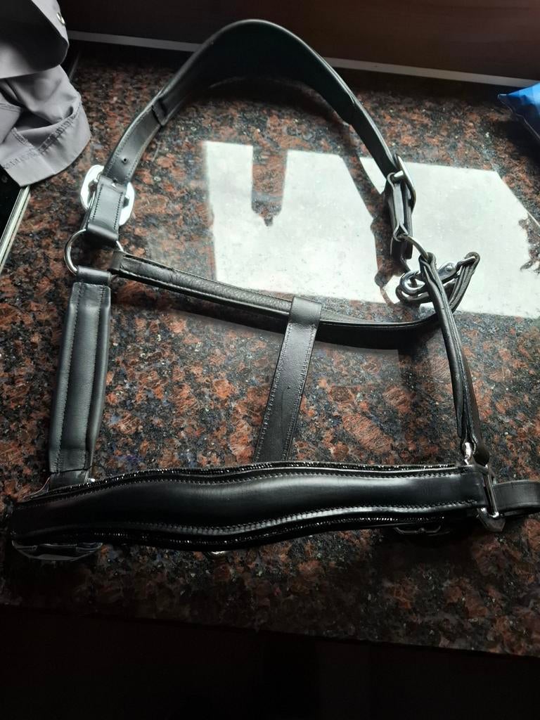 Nieuw full halster, Dieren en Toebehoren, Ophalen of Verzenden, Nieuw, Overige soorten