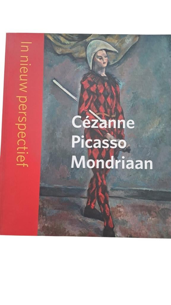 Cézanne, Picasso, Mondriaan - In nieuw perspectief kunstbo, Ophalen of Verzenden