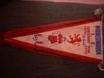 Middlesbrough FC Vaantje - 1876-1976, Ophalen of Verzenden, Gebruikt, Buitenlandse clubs, Vaantje of Sjaal