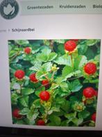Indische Aarbei/sier aardbei vaste plant schijnaardbei, Tuin en Terras, Planten | Tuinplanten, Ophalen, Zomer, Overige soorten