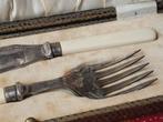 Mooi antiek silverplate James Walker viscouvert in een etui., Antiek en Kunst, Antiek | Bestek, Ophalen of Verzenden