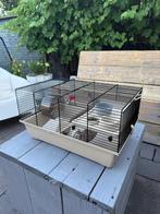 Hamsterkooi Intrezoo Pinky 1 beige – zo goed als nieuw, Kooi, Minder dan 75 cm, Zo goed als nieuw, Hamster