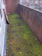 Sedumdak 5m2 - Compleet pakket gratis af te halen, Ophalen, Gebruikt, Minder dan 10 m², Gras