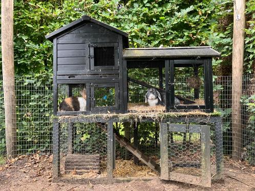 Twee lieve konijnen met groot hok, Dieren en Toebehoren, Knaagdieren en Konijnen | Hokken en Kooien, Zo goed als nieuw, Hok, 90 cm of meer
