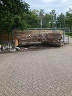 Boomstam, Tuin en Terras, Palen, Balken en Planken, Ophalen, Palen