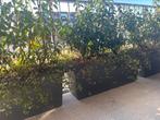 Plantenbakken, Tuin en Terras, Bloembakken en Plantenbakken, Kunststof, 100 cm of meer, Zo goed als nieuw, Rechthoekig