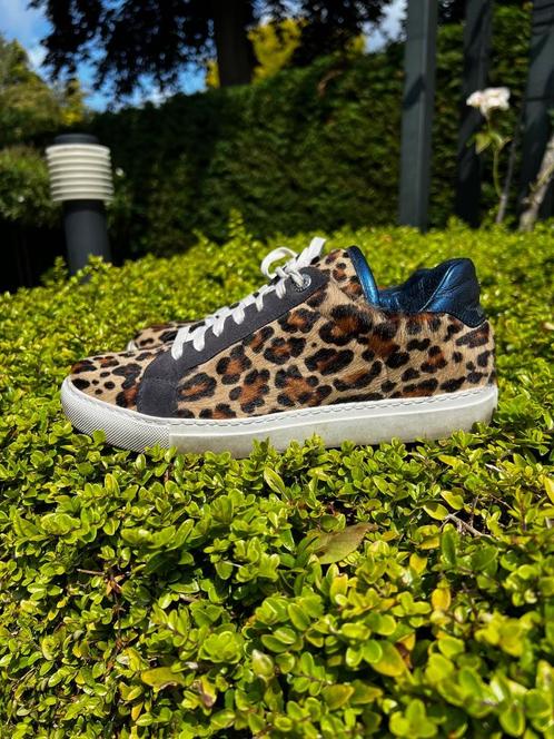 ZADIG & VOLTAIRE sneakers mt 39 SALE bij TIEN concepts Insta, Kleding | Dames, Schoenen, Gedragen, Sneakers of Gympen, Wit, Ophalen of Verzenden