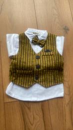 Nieuw in doos broek, overhemd, gilet en strik, Repanda, Nieuw, Ophalen of Verzenden, Pakje