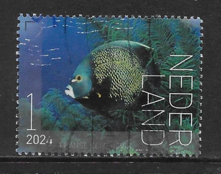 2024, Onderwaterleven Bonaire, Fr. Keizersvis [4207] (K0808), Postzegels en Munten, Postzegels | Nederland, Ophalen of Verzenden