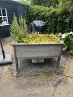 Moestuinbak, Ophalen, Gebruikt, Kweektafel