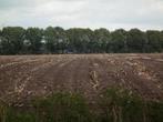 Gezocht Akkers om te kunnen zoeken met metaaldetectors, Dieren en Toebehoren