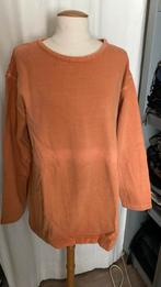 Sweatshirt Oranje maar M. Print op rug, Oranje, Gedragen, Waiwurrie, Maat 48/50 (M)