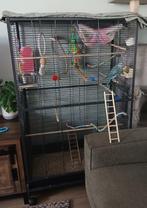 Hele mooie ruime vogelkooi / kamervoliere, Dieren en Toebehoren, Vogels | Hokken en Kooien, Ophalen, Gebruikt, Metaal, Vogelkooi