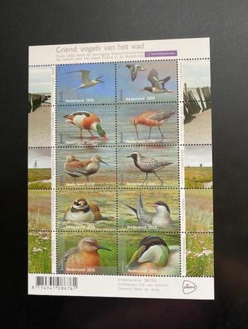 postzegelvel Griend Vogels van het wad postfris 2016