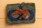 Badge USAF Munitions Maintenance, senior level., Ophalen of Verzenden, Landmacht, Amerika, Embleem of Badge