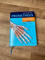 Anatomische Atlas Prometheus, Ophalen of Verzenden, Zo goed als nieuw, Natuurwetenschap