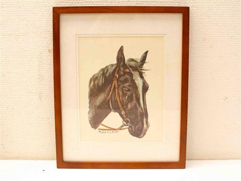 Prent van een Paardenhoofd 3807, Verzamelen, Ansichtkaarten | Dieren, Ongelopen, 1920 tot 1940, Hond of Kat, Ophalen of Verzenden