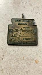 Medaille Schaatsen. 17e Oldambtrit 1996., Ophalen of Verzenden, Overige materialen, Nederland